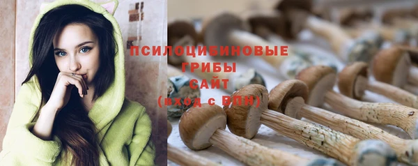 герыч Вязники