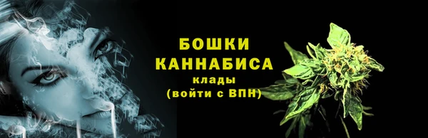 дживик Горнозаводск