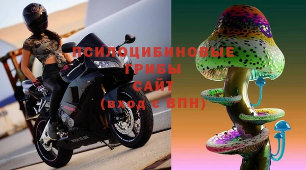 прущий лед Вязьма