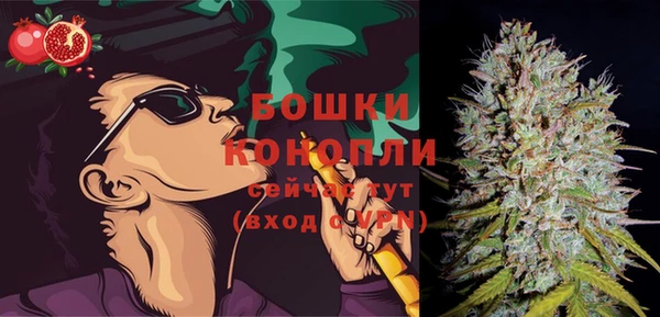 ALPHA-PVP Вяземский