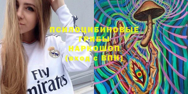 прущий лед Вязьма