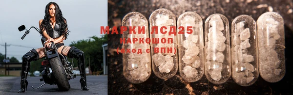 прущий лед Вязьма